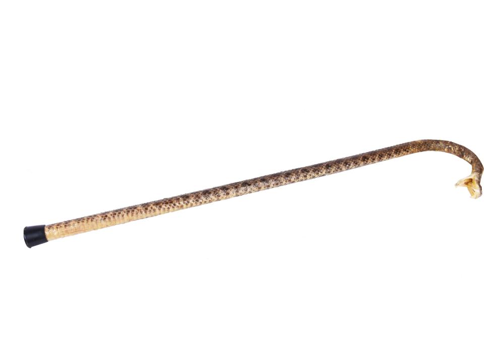 AN UNUSUAL RATTLESKIN COVERED