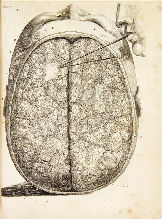 (ANATOMY) RUYSCH FREDERIK Opera