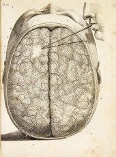 (ANATOMY) RUYSCH FREDERIK Oper