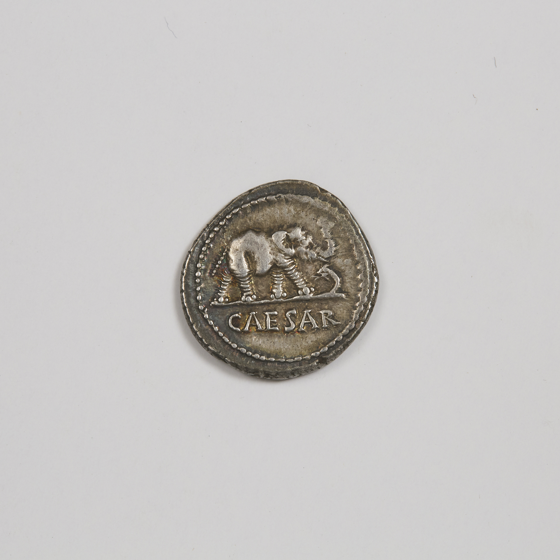 Ancient Coinage ROMAN JULIUS CAESAR
