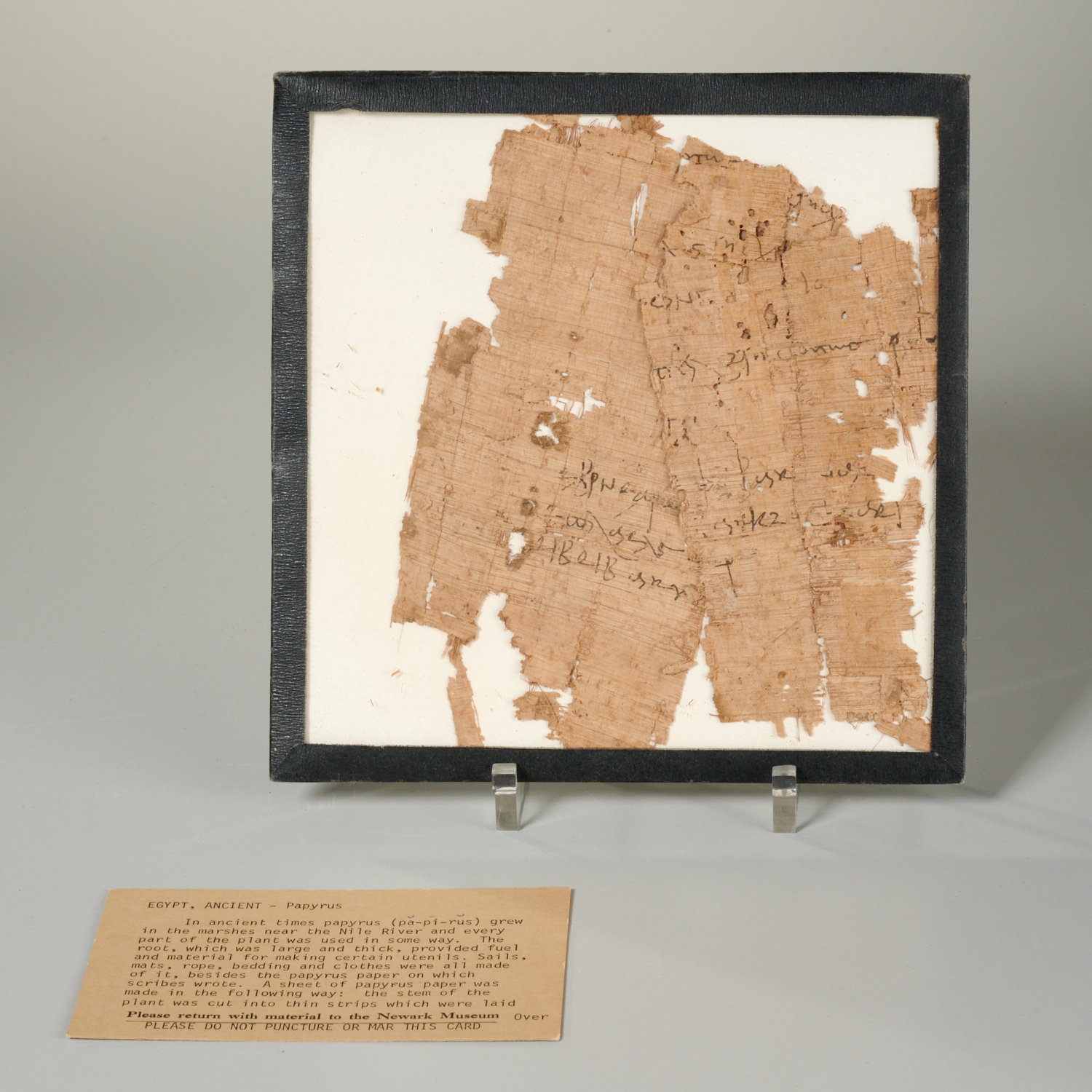 ANCIENT EGYPTIAN PAPYRUS FRAGMENTS,