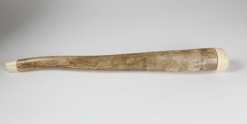 ANCIENT WALRUS PENILE BONE