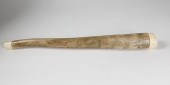 ANCIENT WALRUS PENILE BONE OOS