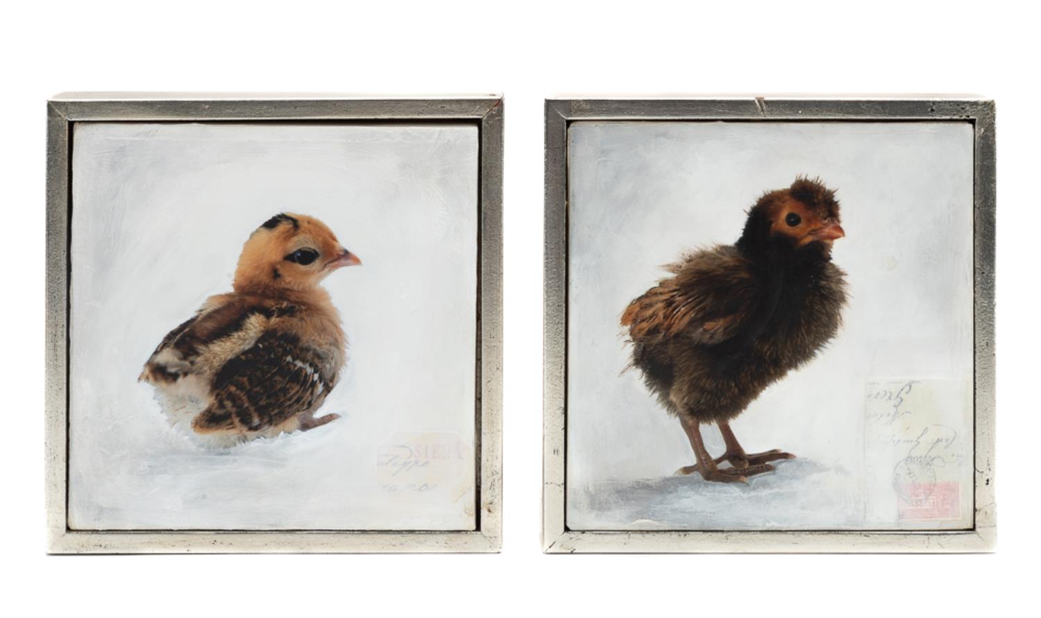 ANDE COOK, 2PC BABY BIRDS M/M & OIL