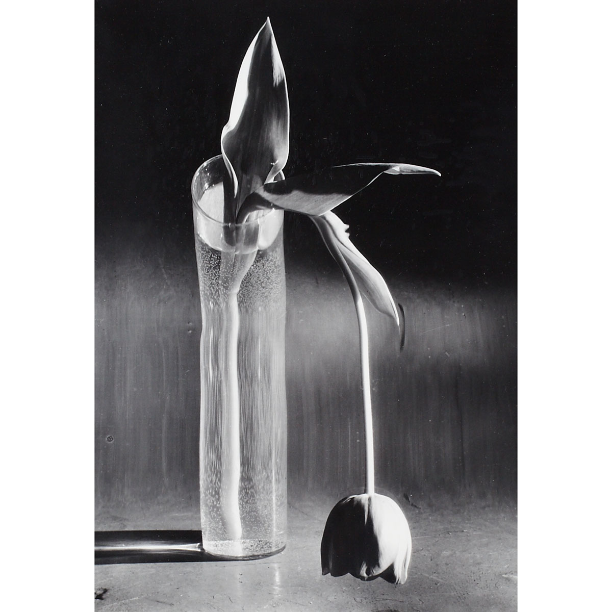 Andre Kertesz (1894-1985)