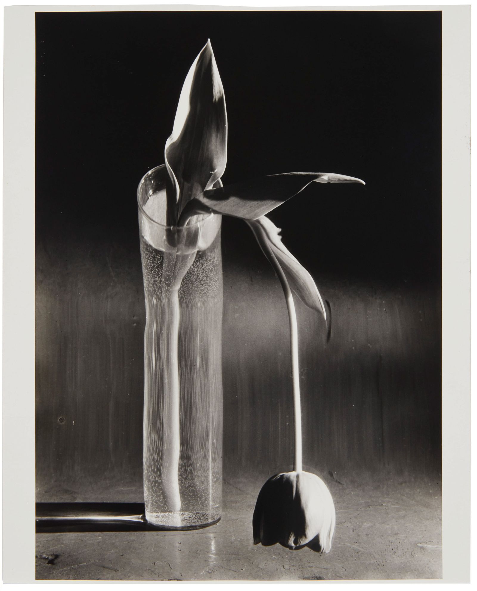 ANDRE KERTESZ (1894-1985),