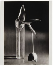 ANDRE KERTESZ (1894-1985), "ME