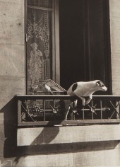 ANDRE KERTESZ (1894-1985), "TH