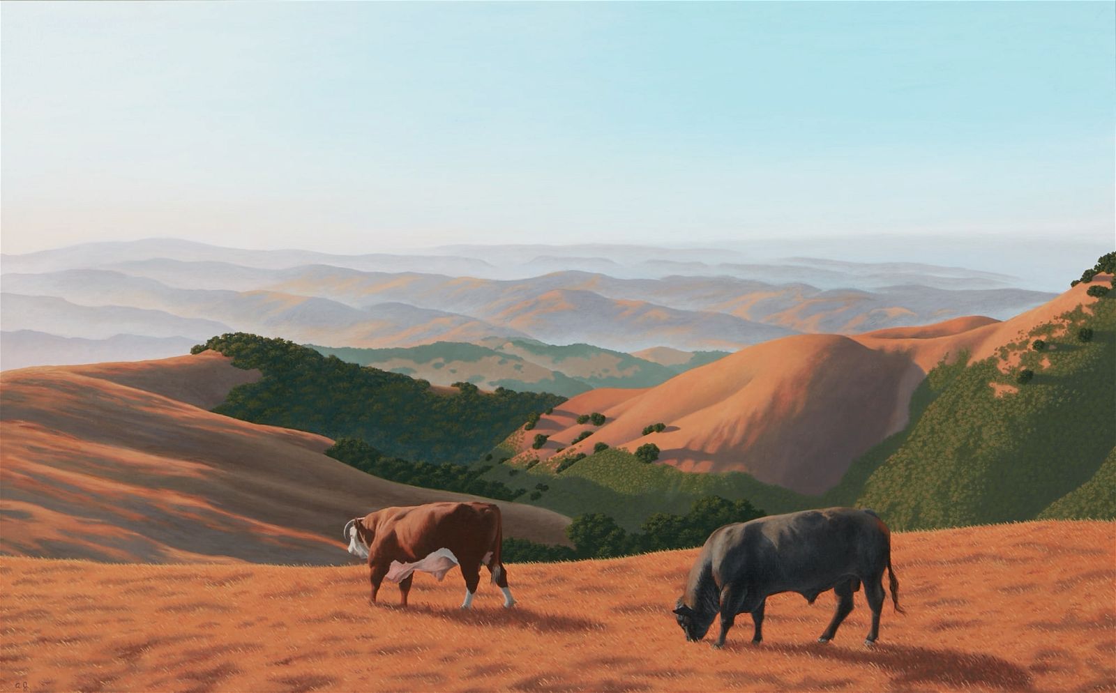 ANDREA JOHNSON, COWS IN OPEN