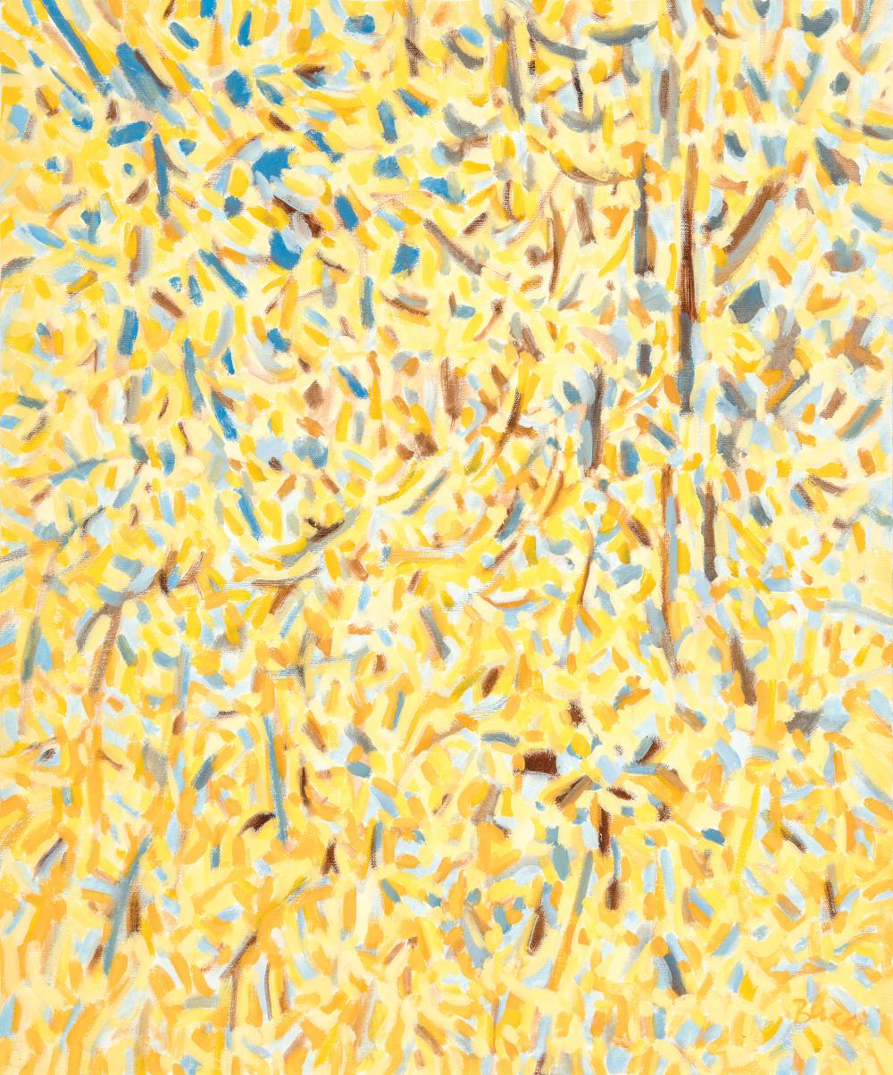 ANDREW BUCCI (AMERICAN/MISSISSIPPI,