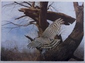 ANDREW GORDON MOORE LITHOGRAPH