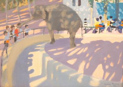 Andrew Macara (born