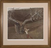 ANDREW NEWELL WYETH (AMERICAN/