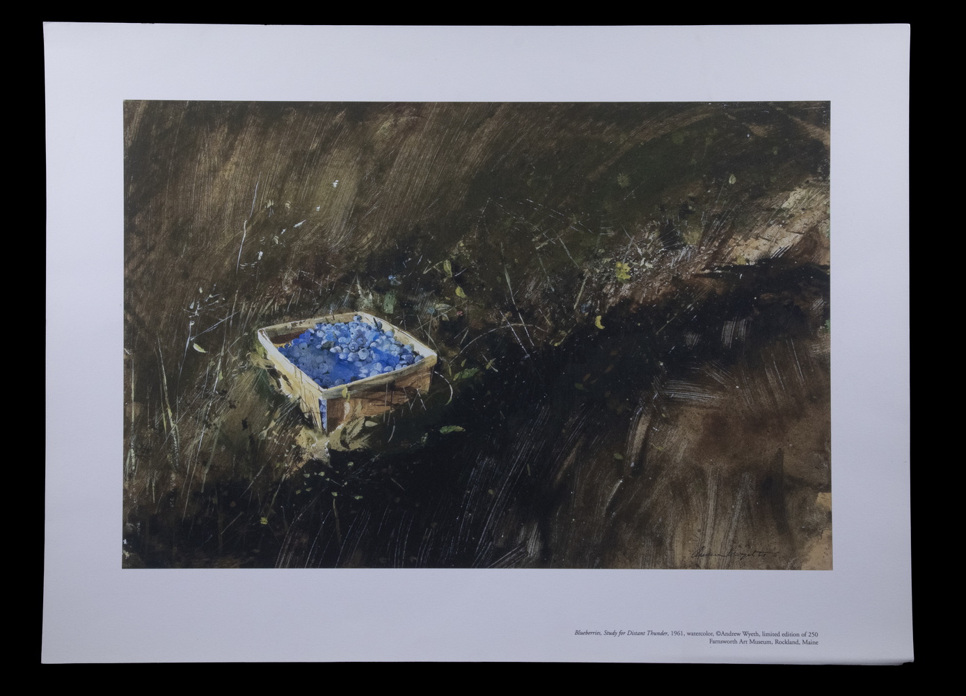 ANDREW NEWELL WYETH (ME/PA,