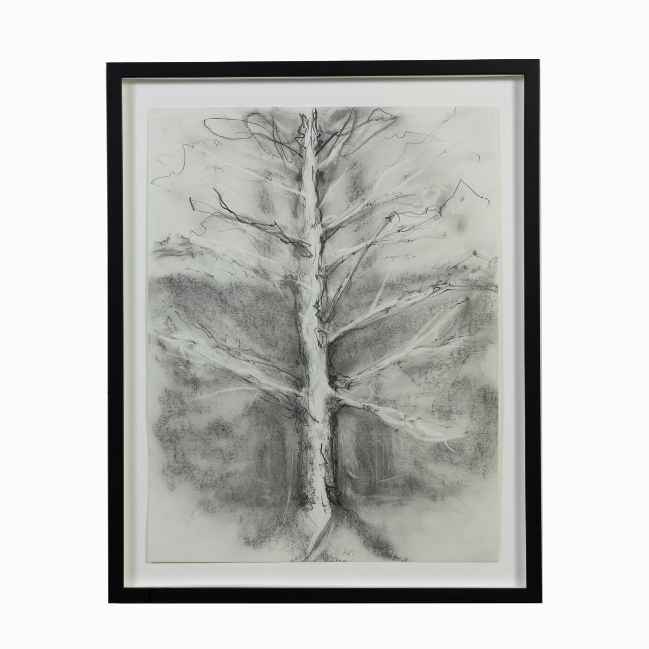 ANGUS GALLOWAY, CHARCOAL ON