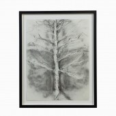 ANGUS GALLOWAY, CHARCOAL ON PA