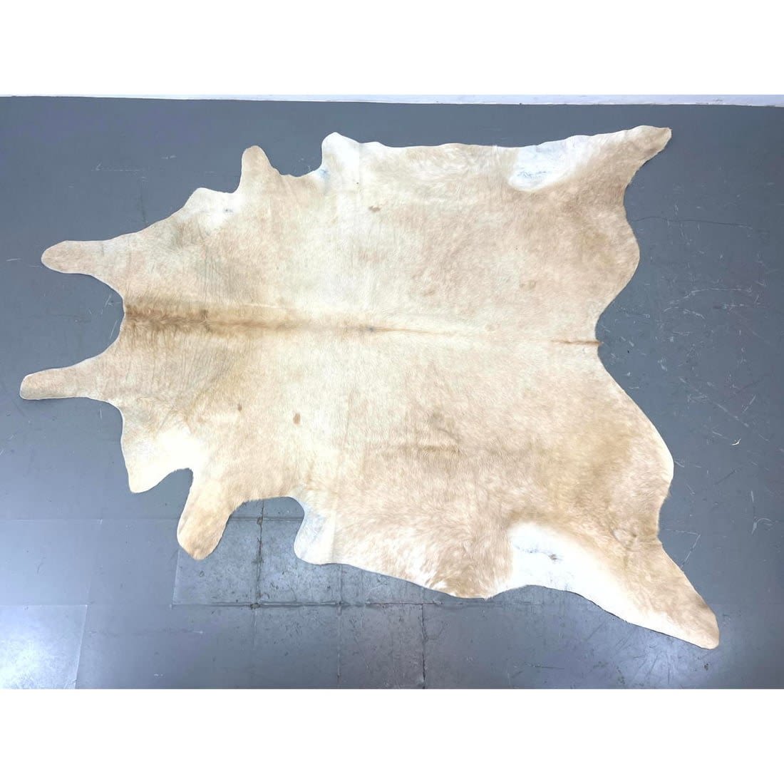Animal Hide. Could be used as rug