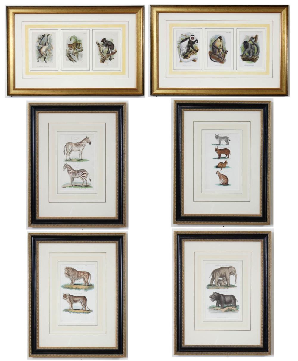 ANIMAL PRINTS: FOUR FRAMED