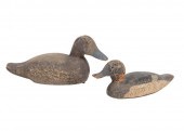 ANIMAL TRAP CO. BLUEBILL HEN D