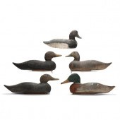ANIMAL TRAP CO., FIVE DUCK DEC
