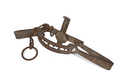 ANIMAL/BEAR TRAP, NEWHOUSE