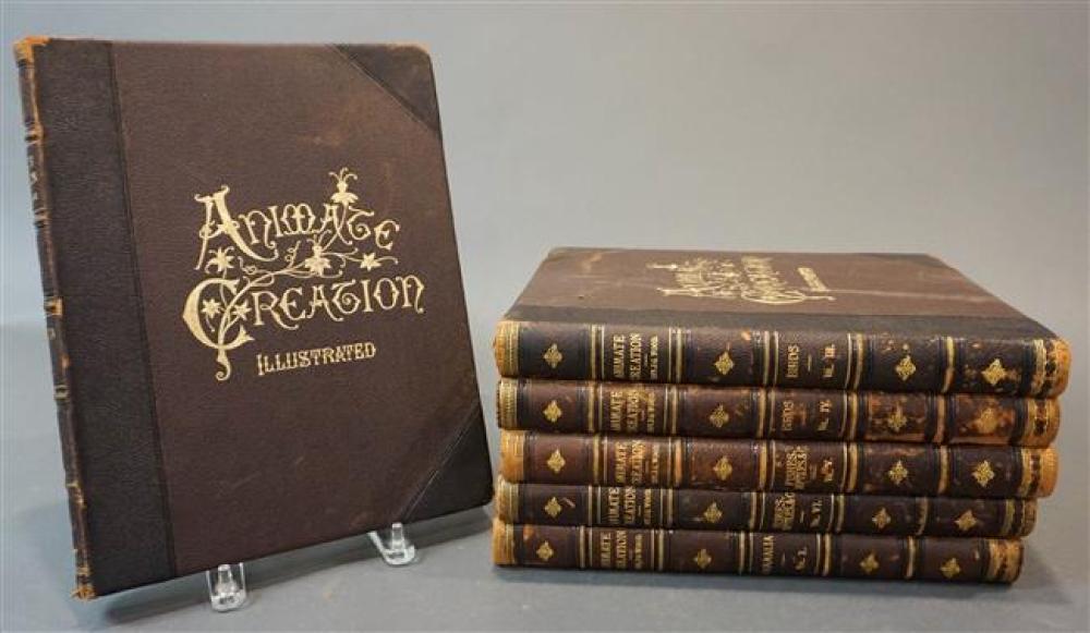 ANIMATE CREATION ILLUSTRATED, SIX