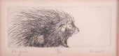 ANN DERGARA ETCHING OF PORCUPI