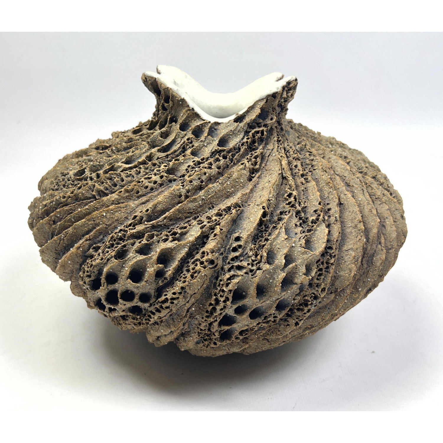ANN GOLDMAN Organic Art Pottery