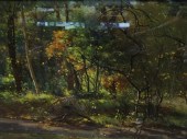 ANNE MARIE FLEMING, PATH IN TH