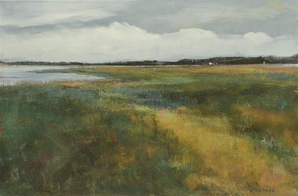 ANNE PACKARD, (AMERICAN, B.