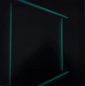 ANNE SAGER: DAN FLAVIN SERIES