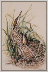 Anne Worsham Richardson (Charl