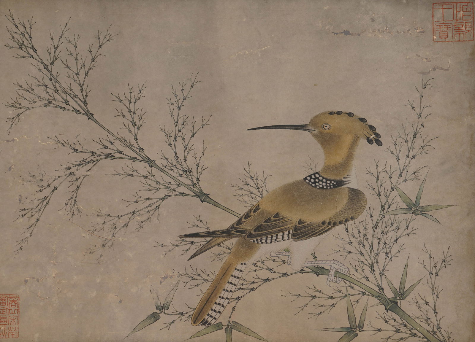 ANONYMOUS, BIRDSANONYMOUS, BIRDS