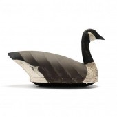 ANONYMOUS CURRITUCK GOOSE Curr