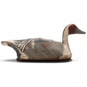 ANONYMOUS PINTAIL Attributed t