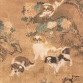 Anonymous
Pouncing Pekingese