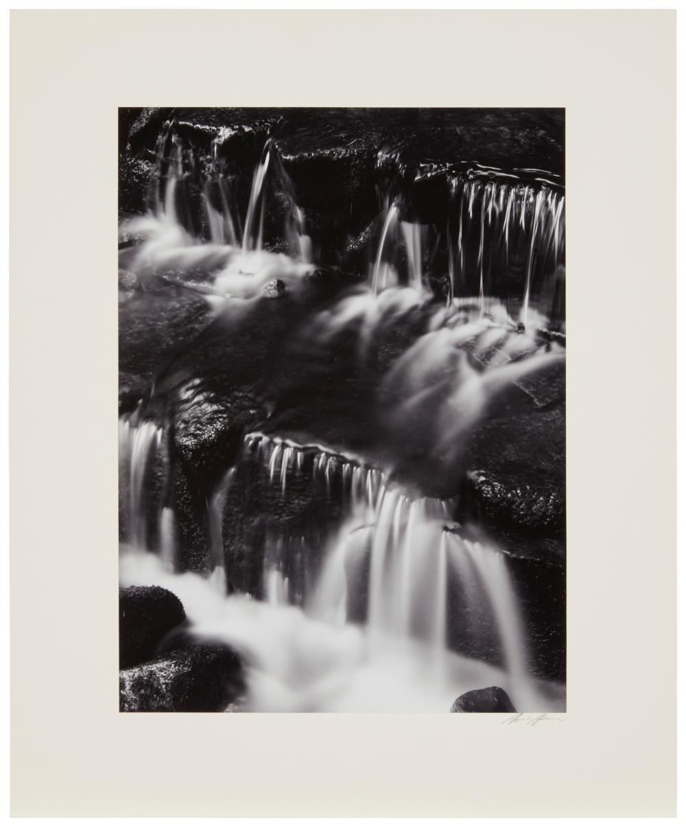 ANSEL ADAMS (1902-1984), "FERN