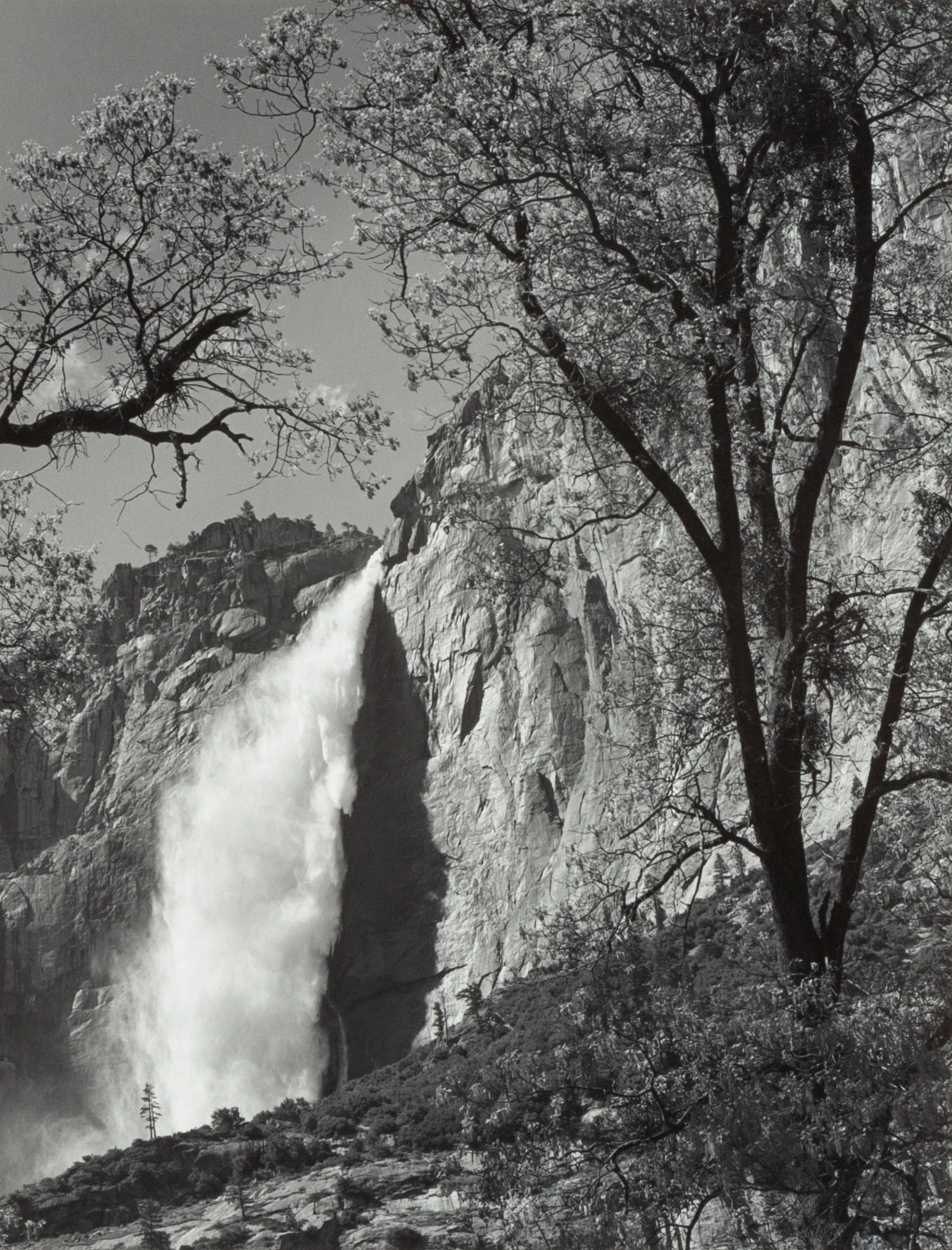ANSEL ADAMS (AMERICAN, 1902-1984)