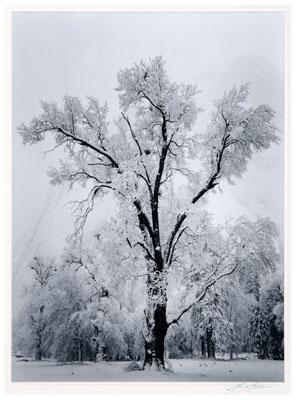 Ansel Adams Yosemite photograph