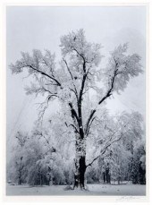 Ansel Adams Yosemite photograp