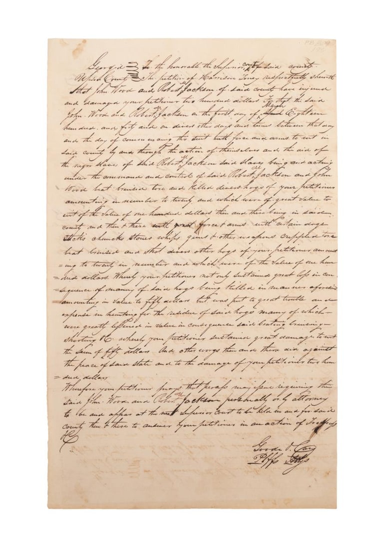 ANTEBELLUM GEORGIA AFFIDAVIT OF