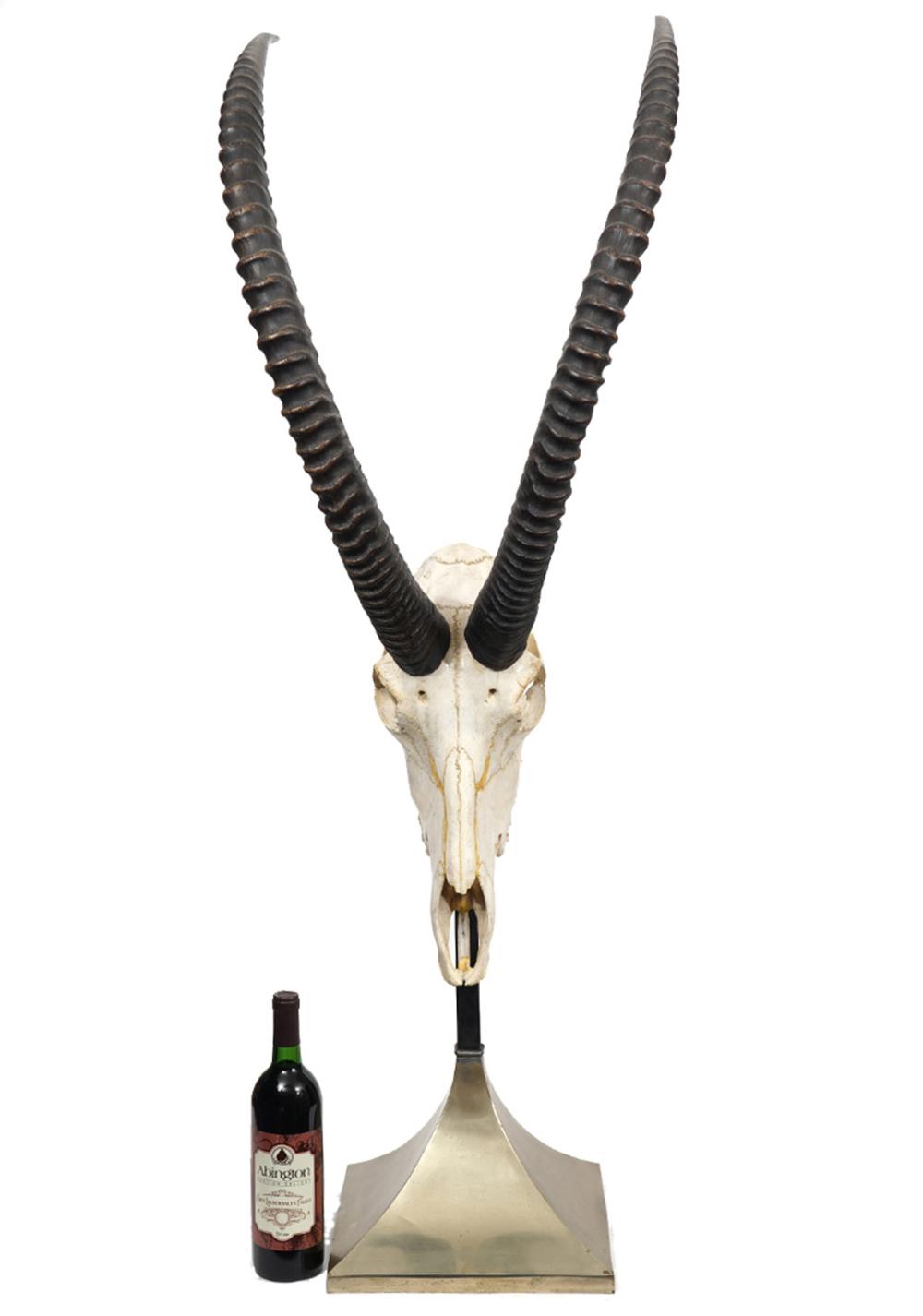 ANTHONY REDMILE MOUNTED IMPALA