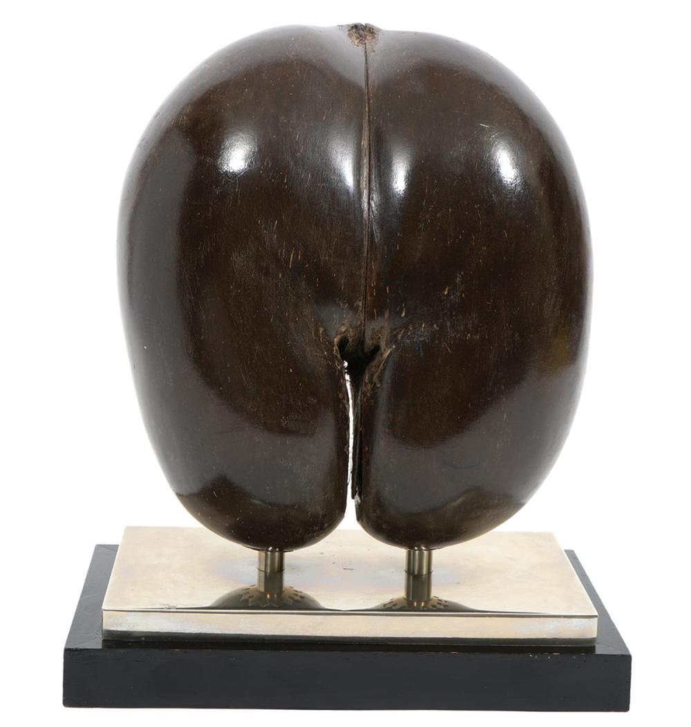 ANTHONY REDMILE SEYCHELLES NUT