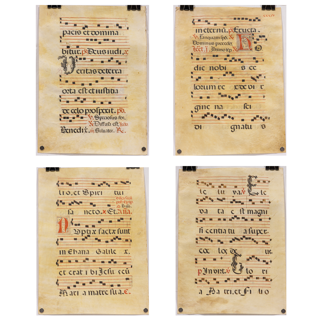 ANTIPHONAL SHEETS, CONTINENTAL