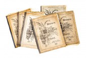 [ANTIQUE AMERICAN MEDICINAL PL