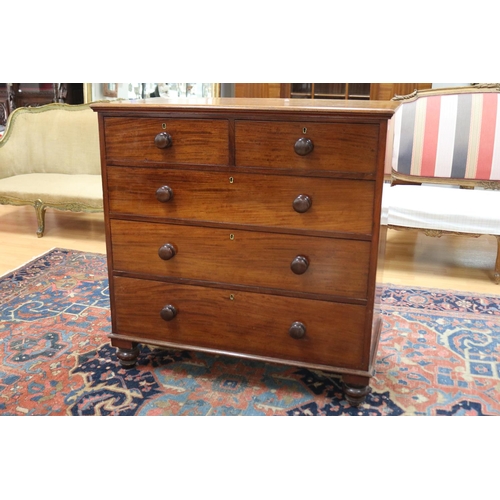 Antique Australian cedar chest of