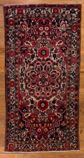 ANTIQUE BAKHTIARI 5'1" X 10'2"