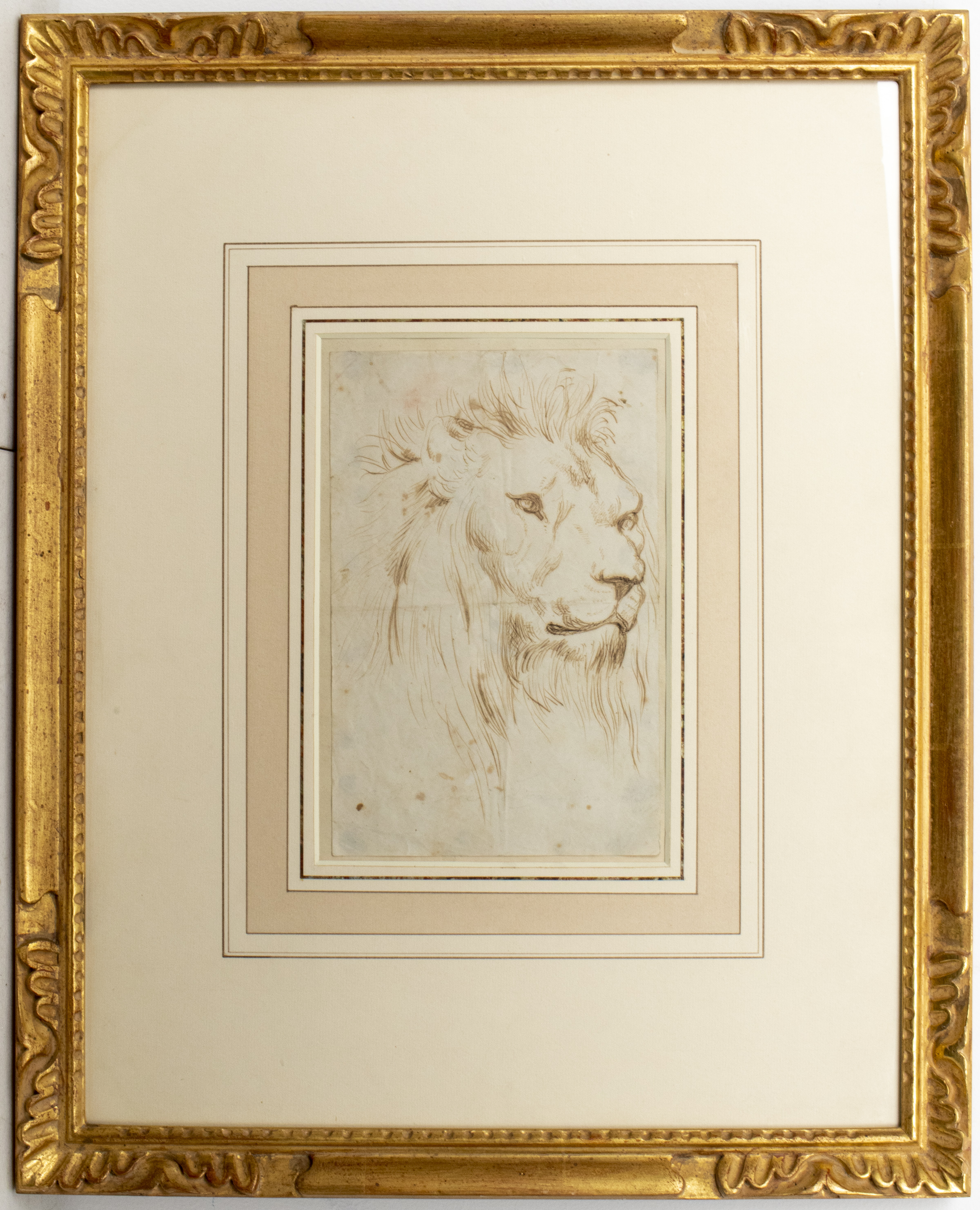 ANTIQUE CONTINENTAL SCHOOL "HEAD OF