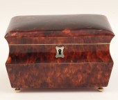 ANTIQUE ENGLISH EXOTIC SHELL T
