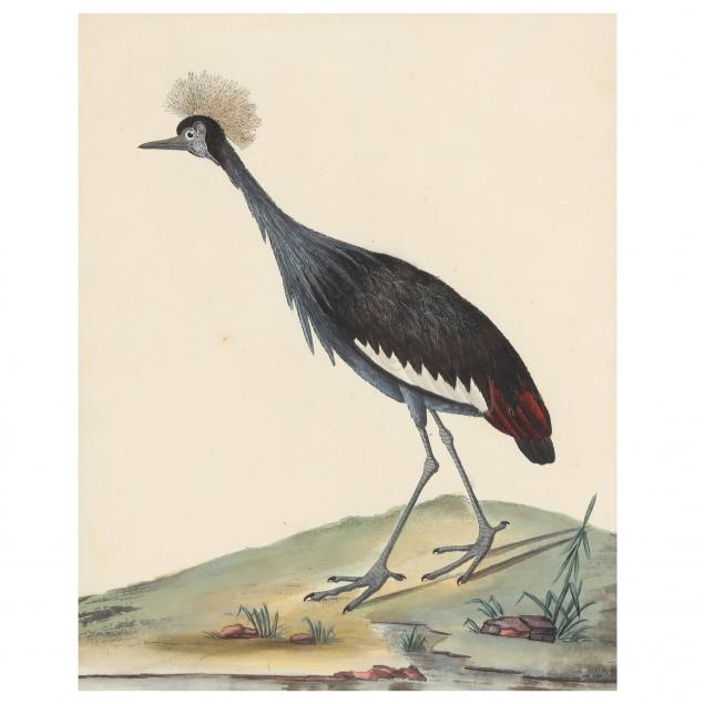 ANTIQUE ENGRAVING OF A "CROWNED